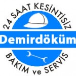 beşiktaş demirdöküm kombi servisi